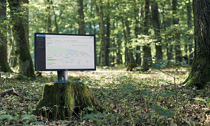 Monitor im Wald mit Diagramm
