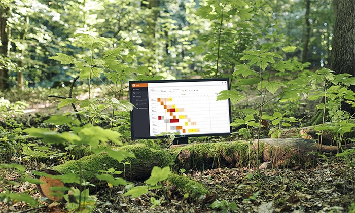 s.FOx auf einem Bildschirm im Wald